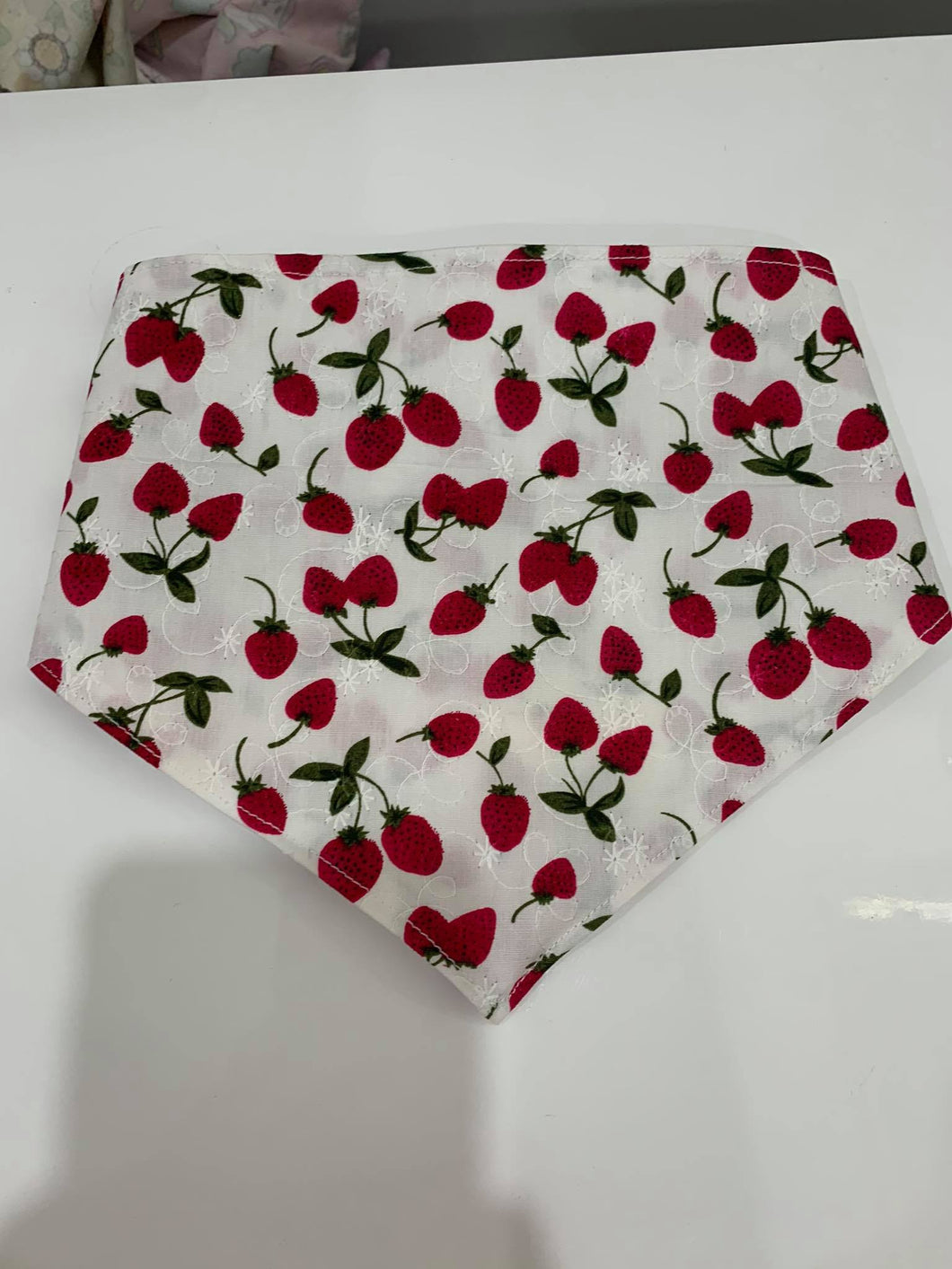 Small Strawberry Dog Bandanna